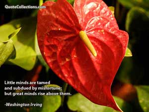 washington_irving_quotes Quotes 1